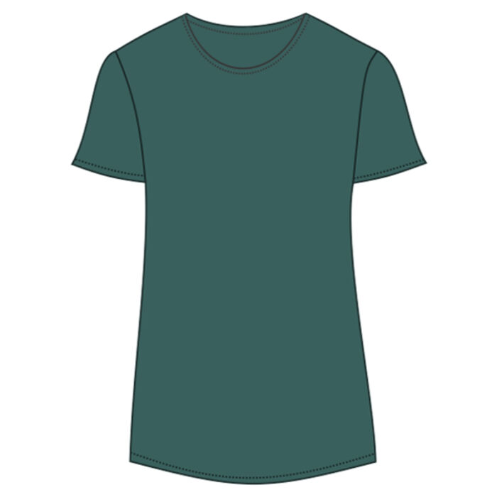 Women's Softstyle® Triblend T-Shirt Thumbnail