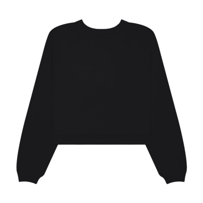 Women's Raglan Pullover Sponge Fleece Thumbnail
