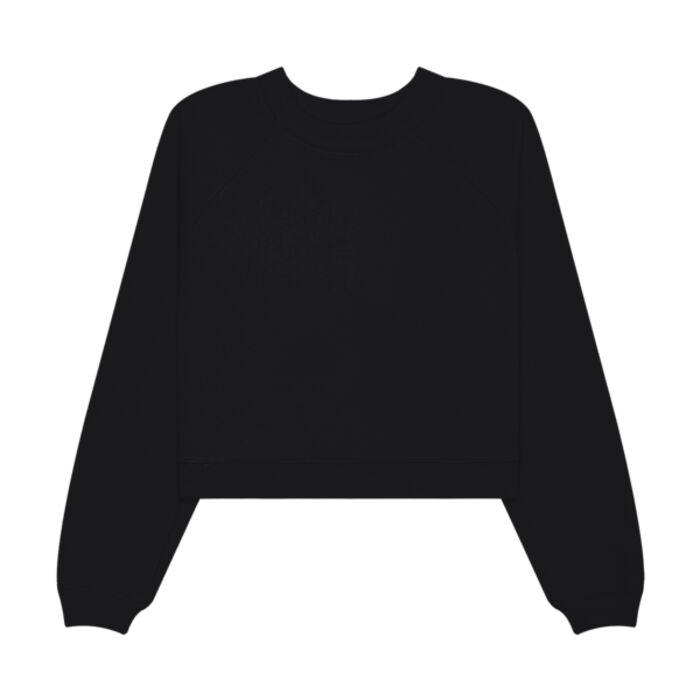 Women's Raglan Pullover Sponge Fleece Thumbnail